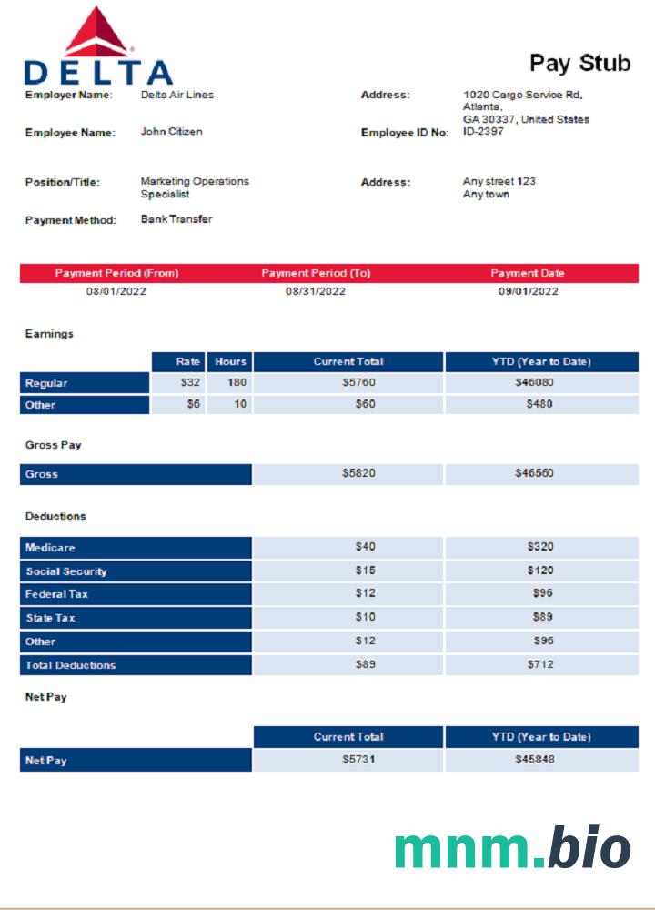 USA Delta Air Lines airlines company pay stub